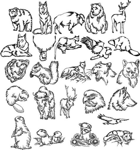 Advanced Embroidery Designs - North American Wild Animal Set