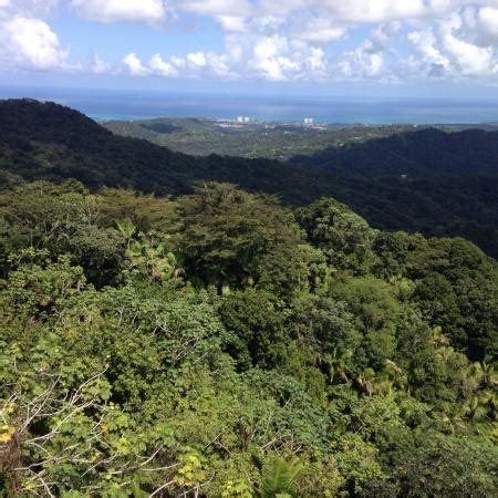 Caribbean National Forest (Puerto Rico) - 2018 All You Need to Know Before You Go (with Photos ...