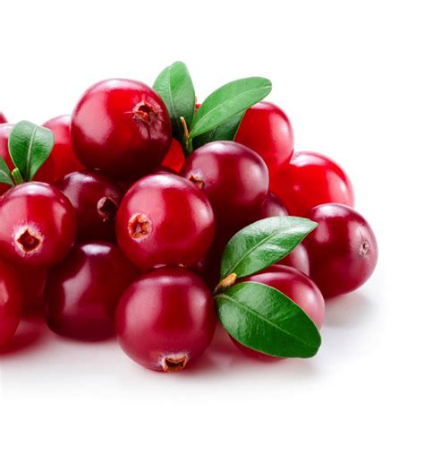 Some Good Blogs: Lingonberry, the New Super Fruit