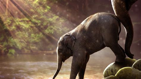 Baby Elephant UHD 4K Wallpaper - Pixelz.cc