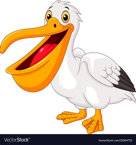 Cartoon pelican isolated on white background Vector Image