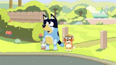 Bluey Season 3 Episode 9 – Curry Quest | Watch cartoons online, Watch anime online, English dub ...