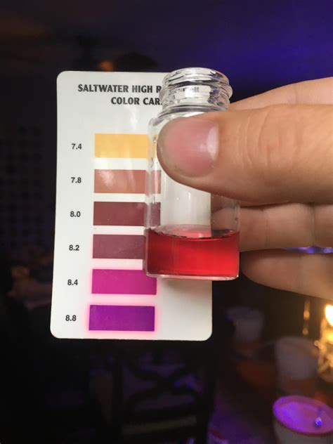 Help with reading a pH test - Help and Advice - Brandywine Reef Club