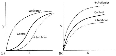 Latest Regulation: Allosteric Regulation Gif