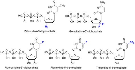 Antibacterial triphosphates: different use of nucleoside analogues - Santiago lab