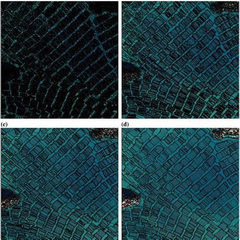 Image segmentation at four scale levels: (a) scale parameter 10; (b ...