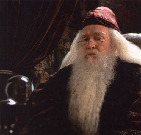 The Magical World of Harry Potter: The Great Mystery Of Dumbledore's Death!