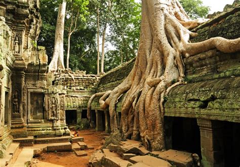 Ta Prohm Temple: Cambodia Tomb Raider Temple & A Must-Visit Temple