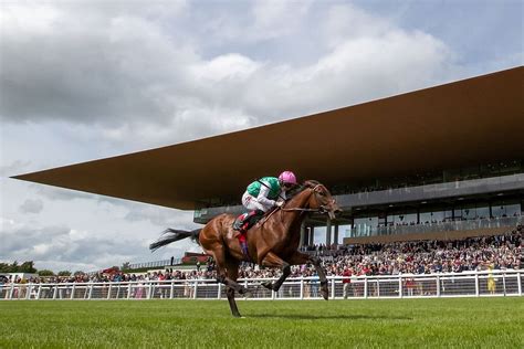 THE CURRAGH RACECOURSE: Ce qu'il faut savoir pour votre visite