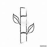 Sugar Cane Coloring Coloring Pages sketch template