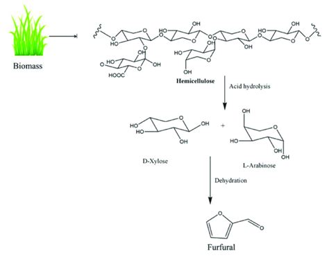 Schematic representation of furfural synthesis from biomass. | Download ...