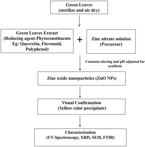 Schematic representation of green synthesis of zinc oxide nanoparticles | Download Scientific ...