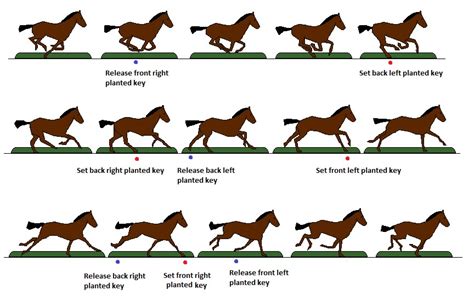 Horse Running Animation