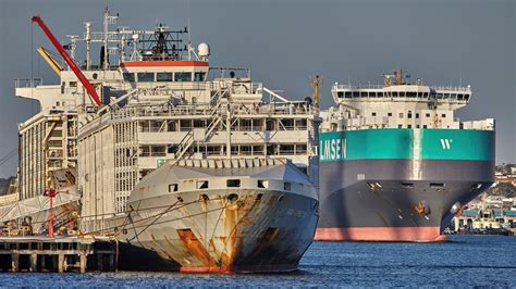 Second survivor from capsized cattle ship dies: Japan coastguard | News | Al Jazeera