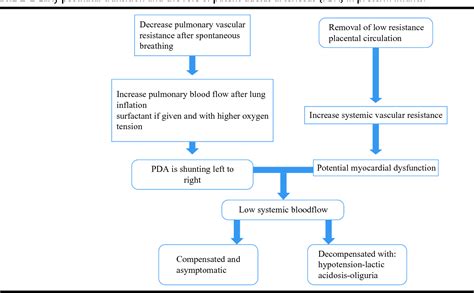 Patent Ductus Arteriosus in Preterm Infants, Part 1: Understanding the Pathophysiologic Link ...