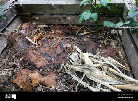 Organic matter decay in garden wooden compost Stock Photo - Alamy