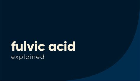 Fulvic Acid: Chemical Properties, Uses, Side Effects and More