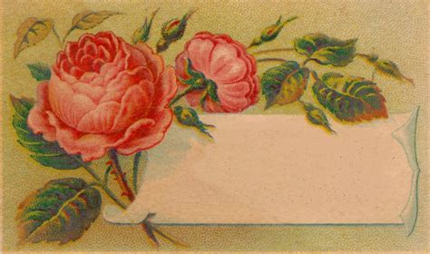 Free image of the day!: Victorian Calling Card Blank