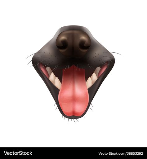 Realistic dog mouth Royalty Free Vector Image - VectorStock