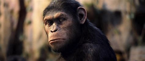 Sage Gamin: Critique du film RISE OF THE PLANET OF THE APES : divertissante, la laideur humaine