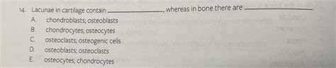 Solved Lacunae in cartilage contain whereas in bone there | Chegg.com