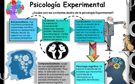 Fundamentos teóricos de la psicología Experimental.