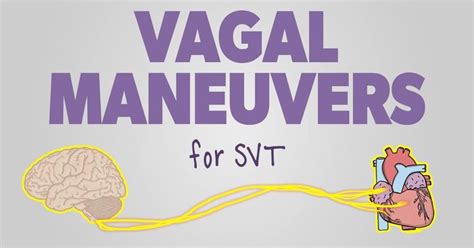 Vagal Maneuvers: How to Stop your Patient’s SVT in 2021 | Ecg rhythms, Parasympathetic nervous ...