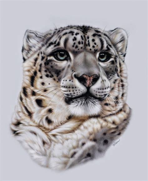 Incredible and Realistic Animal Paintings by Heather Lara - Fine Art and You