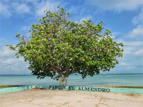 Sea Front Sarteneja, Belize: A Charming QUIET Village | San Pedro Scoop