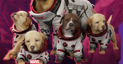 Marvel's Guardians Of The Galaxy Gives Cosmo A New Trailer