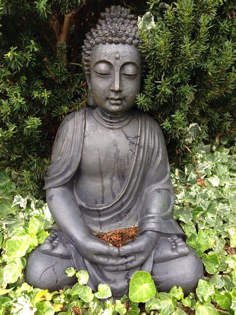 Zen Garden Buddha Wallpaper