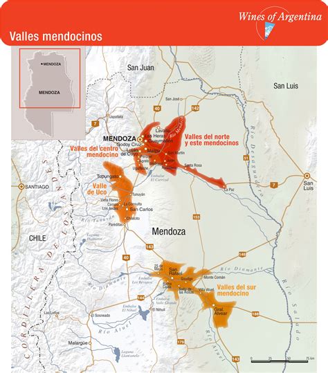 Mendoza Wine Region in 2024 | Wine region, Mendoza argentina, Mendoza