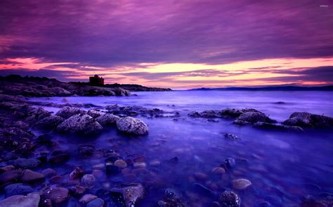 Purple Nature Wallpapers - Top Free Purple Nature Backgrounds - WallpaperAccess