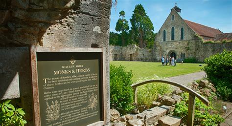 Beaulieu Abbey | A Glimpse into History and Tranquility - BeyondVisit