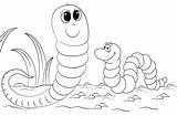 Earthworm Coloring Pages sketch template
