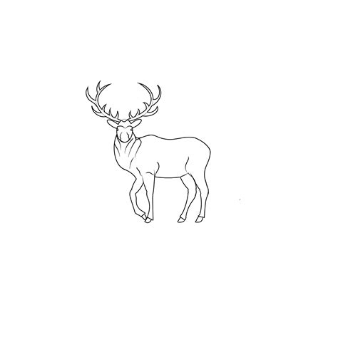 How to Draw an Elk in 5 Easy Steps - Jae Johns