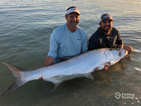 Best Times & Seasons to Catch Tarpon in Texas (Full Guide) - Freshwater ...