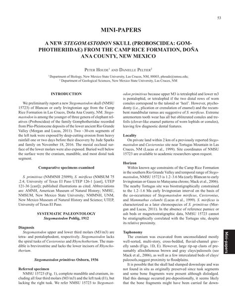 (PDF) A NEW STEGOMASTODON SKULL (PROBOSCIDEA: GOMPHOTHERIIDAE) FROM THE ...