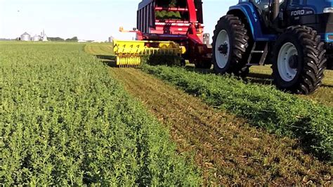 Harvesting Alfalfa for Nutritional Supplements Video - YouTube