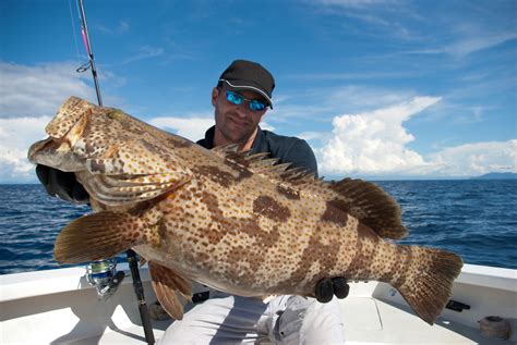 Grouper Fishing | Port Canaveral Fishing Charters