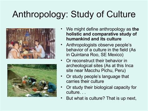 Introduction to Anthropology | PPT