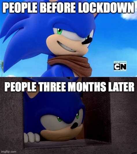 Literally to sum up lockdown attitude by sonic - Imgflip