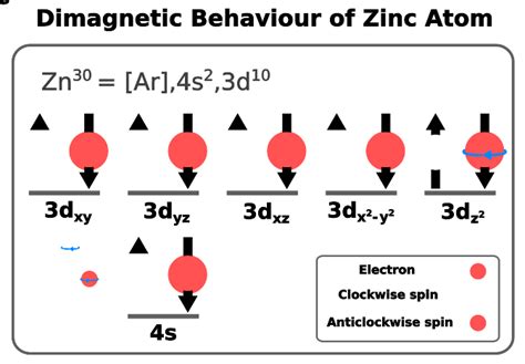 Paramagnetic vs. Diamagnetic Substances - Chemistry - PSIBERG