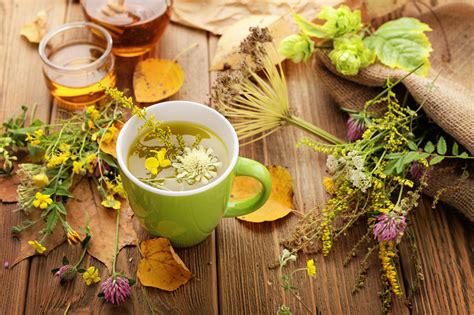 5 Herbal Products With Fantastic Health Benefits | Estilo Tendances