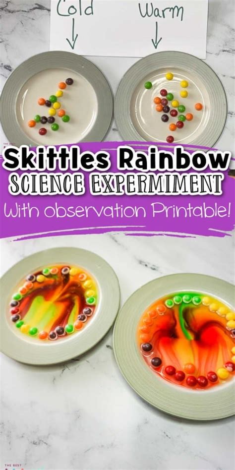 Rainbow Skittles Science Experiment