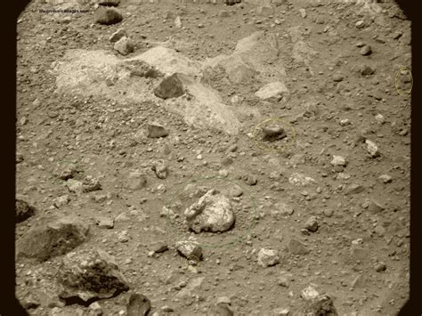Evidences of Extraterrestrial Life on Images from NASA Mars rover Curiosity