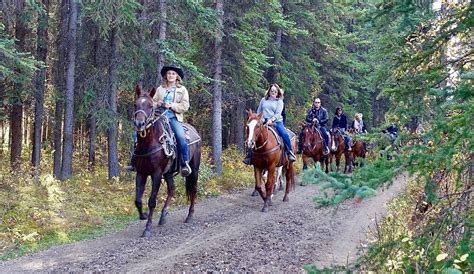 Beautiful Horseback Riding Trails in Florida