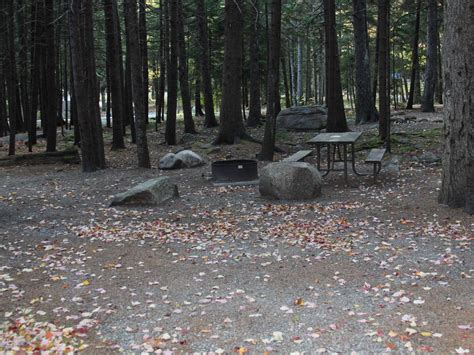 Site A094, Blackwoods Campground - Recreation.gov