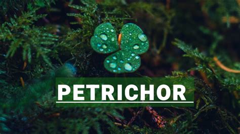 | PETRICHOR | Meaning | Pronunciation | @Knowledge Mania - YouTube