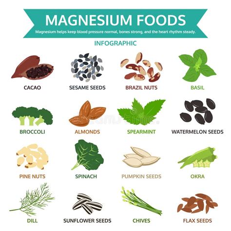 Magnesium in Food. Natural Organic Foods High in Magnesium Stock Vector ...